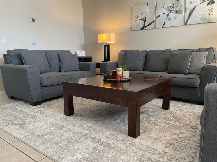 Spacious Open Plan Living Area