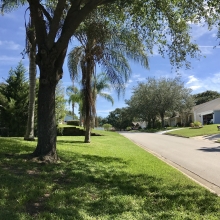 Situated in a Quiet Leafy Community with Many Mature Trees photo_12-10-2017_16_58_01_resized.jpg